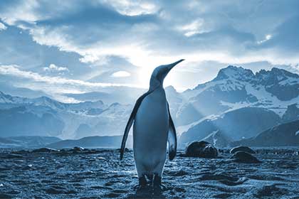 new car dealership protects sales with advanced threat protection, reporting and complete management